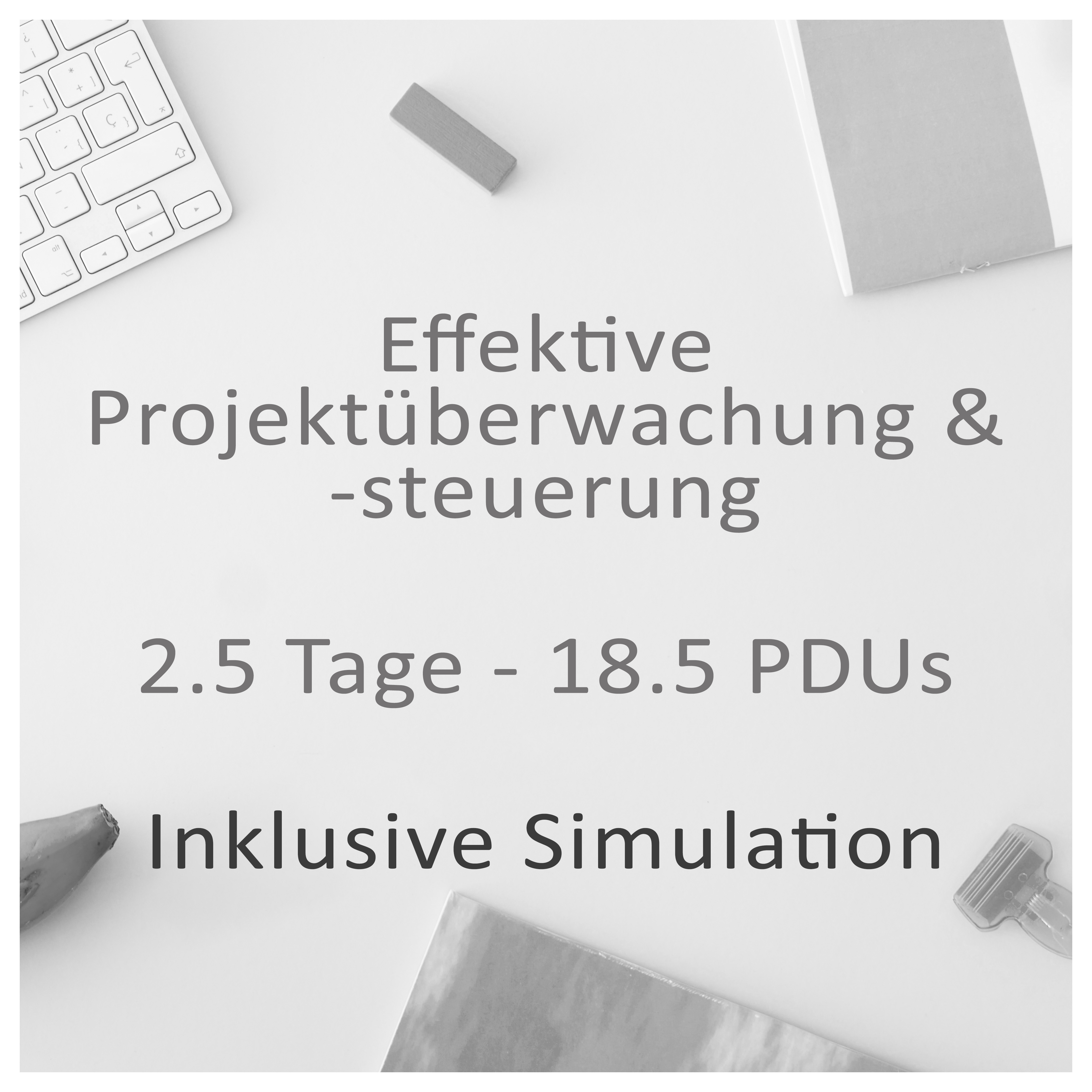 Effektive Projektüberwachung und -steuerung